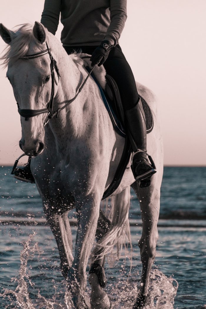 Unbridle Luxury: Indulge in a World-Class Equestrian Experience at the Stunning Equestrian Hotel in West Palm Beach, Florida