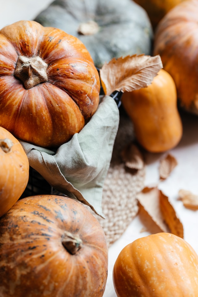 Feasting with the Five Senses: A Lush Tapestry of Thanksgiving and Autumn Traditions