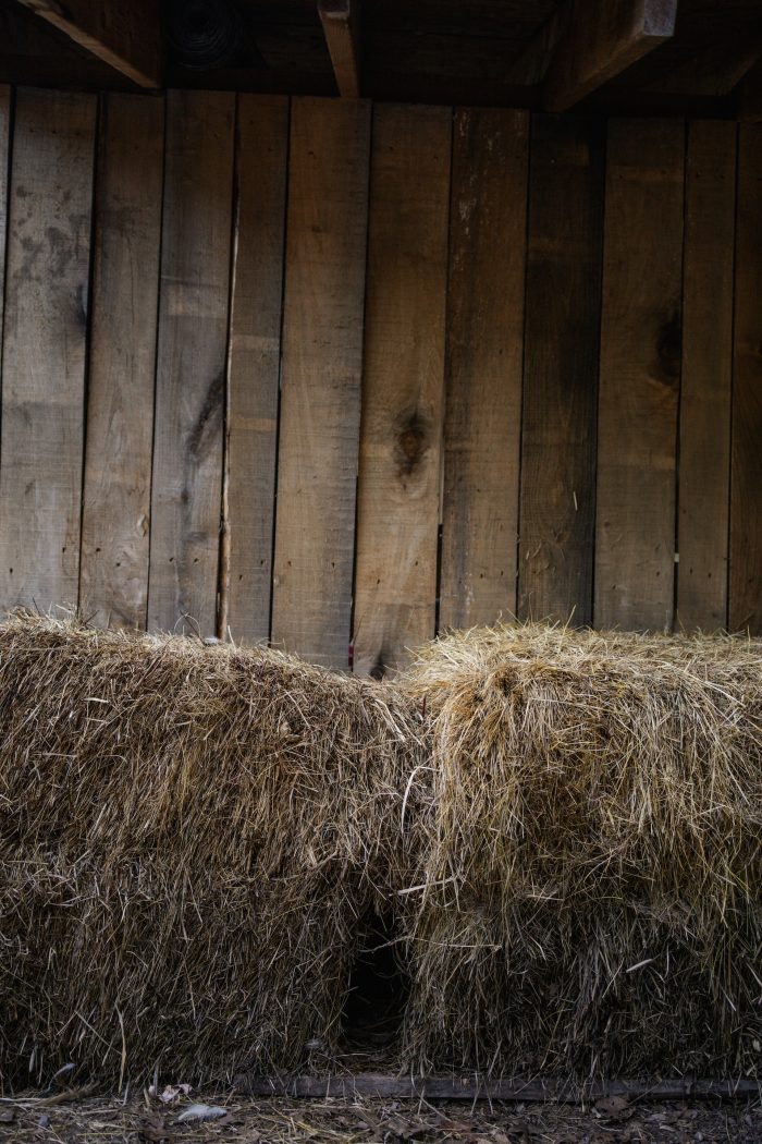 O Little Town Of Bethlehem, Advent Sensory Series, Final Day: ‘In Thy Dark Streets Shineth, The Everlasting Light’ – The Humble Echoes of Bethlehem’s Christmas